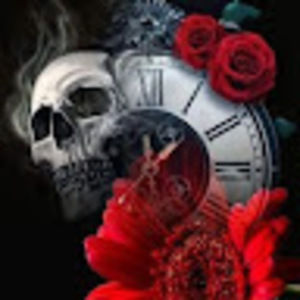 Meet your Posher, Bobbie